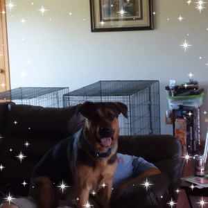 Meet your Posher, Kathi